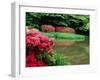 Azaleas, Chogaku-Ji Temple, Tenri, Nara, Japan-null-Framed Photographic Print