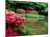 Azaleas, Chogaku-Ji Temple, Tenri, Nara, Japan-null-Mounted Photographic Print