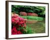 Azaleas, Chogaku-Ji Temple, Tenri, Nara, Japan-null-Framed Photographic Print