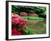 Azaleas, Chogaku-Ji Temple, Tenri, Nara, Japan-null-Framed Photographic Print