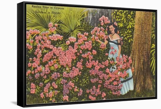 Azaleas, Cypress Gardens, Florida-null-Framed Stretched Canvas