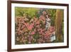 Azaleas, Cypress Gardens, Florida-null-Framed Premium Giclee Print