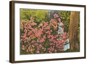 Azaleas, Cypress Gardens, Florida-null-Framed Art Print