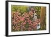 Azaleas, Cypress Gardens, Florida-null-Framed Art Print