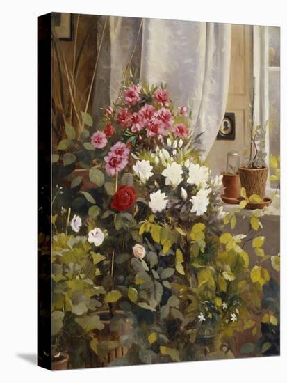 Azaleas, Geraniums, Roses and Other Potted Plants by a Window-Carl Christian Carlsen-Stretched Canvas