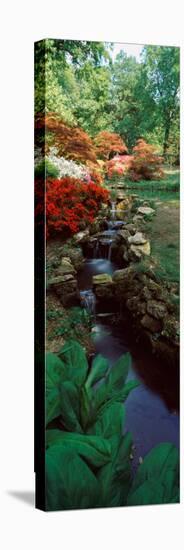 Azaleas in a Garden, Exbury Gardens, New Forest, Hampshire, England-null-Stretched Canvas