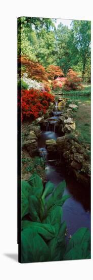 Azaleas in a Garden, Exbury Gardens, New Forest, Hampshire, England-null-Stretched Canvas