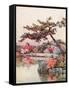 Azaleas in a Kyoto Garden-Ella Du Cane-Framed Stretched Canvas