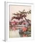 Azaleas in a Kyoto Garden-Ella Du Cane-Framed Giclee Print