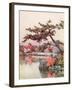 Azaleas in a Kyoto Garden-Ella Du Cane-Framed Giclee Print