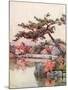 Azaleas in a Kyoto Garden-Ella Du Cane-Mounted Giclee Print