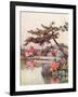 Azaleas in a Kyoto Garden-Ella Du Cane-Framed Giclee Print