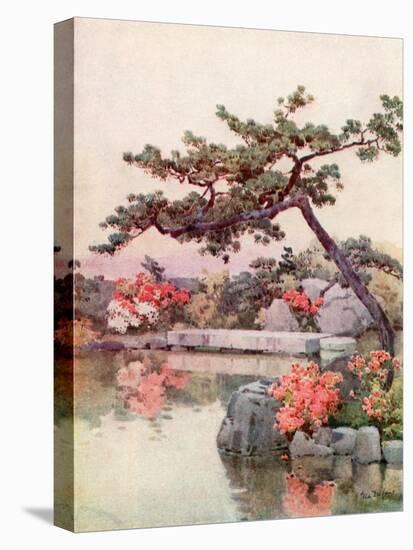 Azaleas in a Kyoto Garden-Ella Du Cane-Stretched Canvas