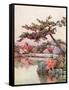 Azaleas in a Kyoto Garden-Ella Du Cane-Framed Stretched Canvas