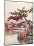 Azaleas in a Kyoto Garden-Ella Du Cane-Mounted Giclee Print