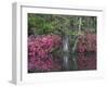 Azaleas in Bloom at Magnolia Plantation and Gardens, Charleston, South Carolina, Usa-Joanne Wells-Framed Photographic Print