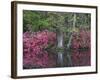 Azaleas in Bloom at Magnolia Plantation and Gardens, Charleston, South Carolina, Usa-Joanne Wells-Framed Photographic Print