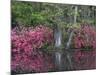 Azaleas in Bloom at Magnolia Plantation and Gardens, Charleston, South Carolina, Usa-Joanne Wells-Mounted Photographic Print