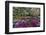Azaleas in full bloom, Charleston, South Carolina-Darrell Gulin-Framed Premium Photographic Print