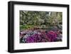 Azaleas in full bloom, Charleston, South Carolina-Darrell Gulin-Framed Premium Photographic Print