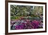 Azaleas in full bloom, Charleston, South Carolina-Darrell Gulin-Framed Photographic Print