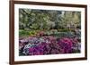 Azaleas in full bloom, Charleston, South Carolina-Darrell Gulin-Framed Premium Photographic Print