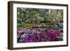 Azaleas in full bloom, Charleston, South Carolina-Darrell Gulin-Framed Photographic Print