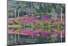 Azaleas in full bloom reflected in calm pond, Charleston, South Carolina-Darrell Gulin-Mounted Photographic Print