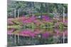 Azaleas in full bloom reflected in calm pond, Charleston, South Carolina-Darrell Gulin-Mounted Photographic Print