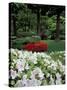 Azaleas in Japanese Garden, Portland, Oregon, USA-Adam Jones-Stretched Canvas