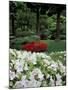 Azaleas in Japanese Garden, Portland, Oregon, USA-Adam Jones-Mounted Photographic Print