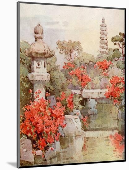 Azaleas, Kyoto-Ella Du Cane-Mounted Giclee Print