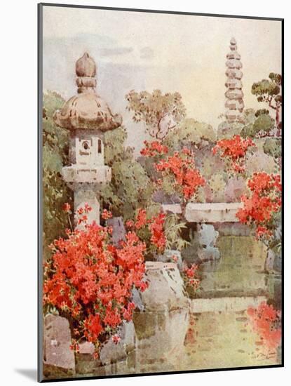 Azaleas, Kyoto-Ella Du Cane-Mounted Giclee Print