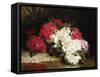 Azaleas-John Fitz Marshall-Framed Stretched Canvas