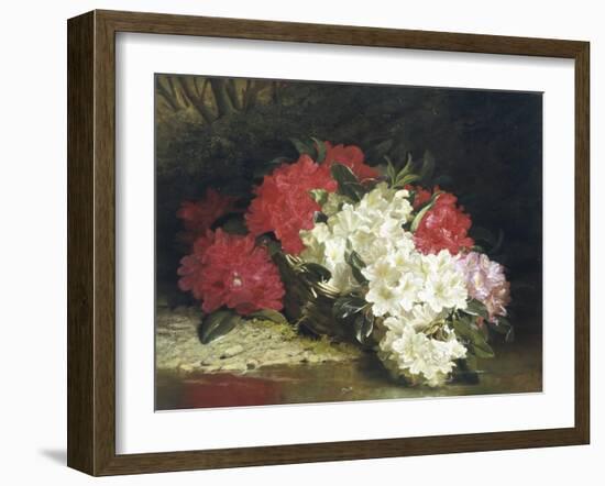 Azaleas-John Fitzmarshall-Framed Giclee Print