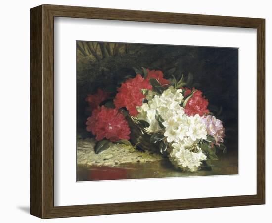 Azaleas-John Fitzmarshall-Framed Giclee Print