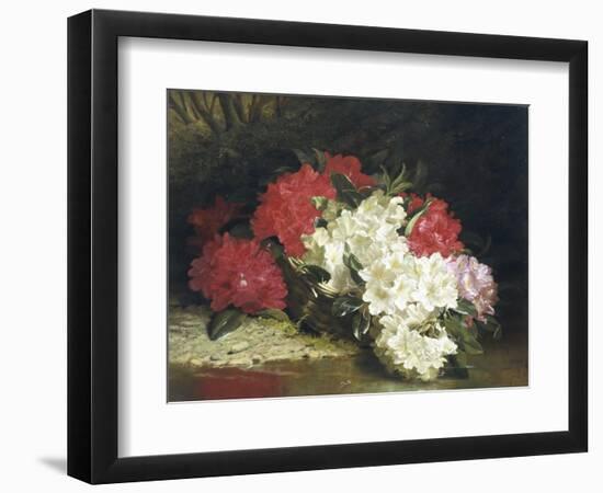 Azaleas-John Fitzmarshall-Framed Giclee Print