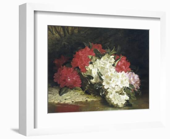 Azaleas-John Fitzmarshall-Framed Giclee Print