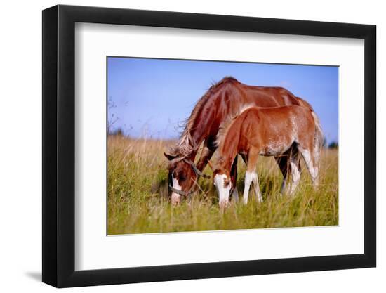 Premium Photographic Print, , large