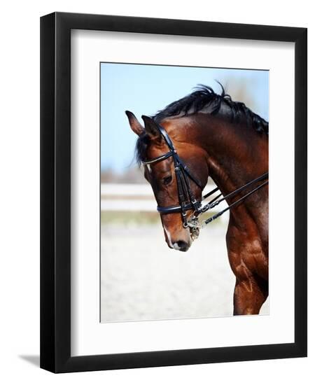 Photographic Print, , large