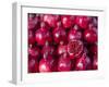 Azerbaijan, Baku, Ticaret Market, Pomegranate-Jane Sweeney-Framed Premium Photographic Print