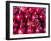 Azerbaijan, Baku, Ticaret Market, Pomegranate-Jane Sweeney-Framed Photographic Print