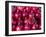 Azerbaijan, Baku, Ticaret Market, Pomegranate-Jane Sweeney-Framed Photographic Print