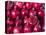 Azerbaijan, Baku, Ticaret Market, Pomegranate-Jane Sweeney-Stretched Canvas