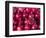 Azerbaijan, Baku, Ticaret Market, Pomegranate-Jane Sweeney-Framed Photographic Print