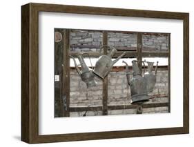 Azerbaijan, Lahic. Antique kettles hanging on the inside of a window.-Alida Latham-Framed Photographic Print