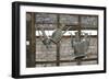 Azerbaijan, Lahic. Antique kettles hanging on the inside of a window.-Alida Latham-Framed Photographic Print