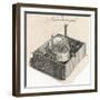 Azimuth Compass-null-Framed Art Print