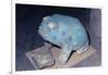 Aztec Artifact Found during Excavation-null-Framed Photographic Print