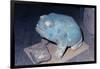 Aztec Artifact Found during Excavation-null-Framed Photographic Print